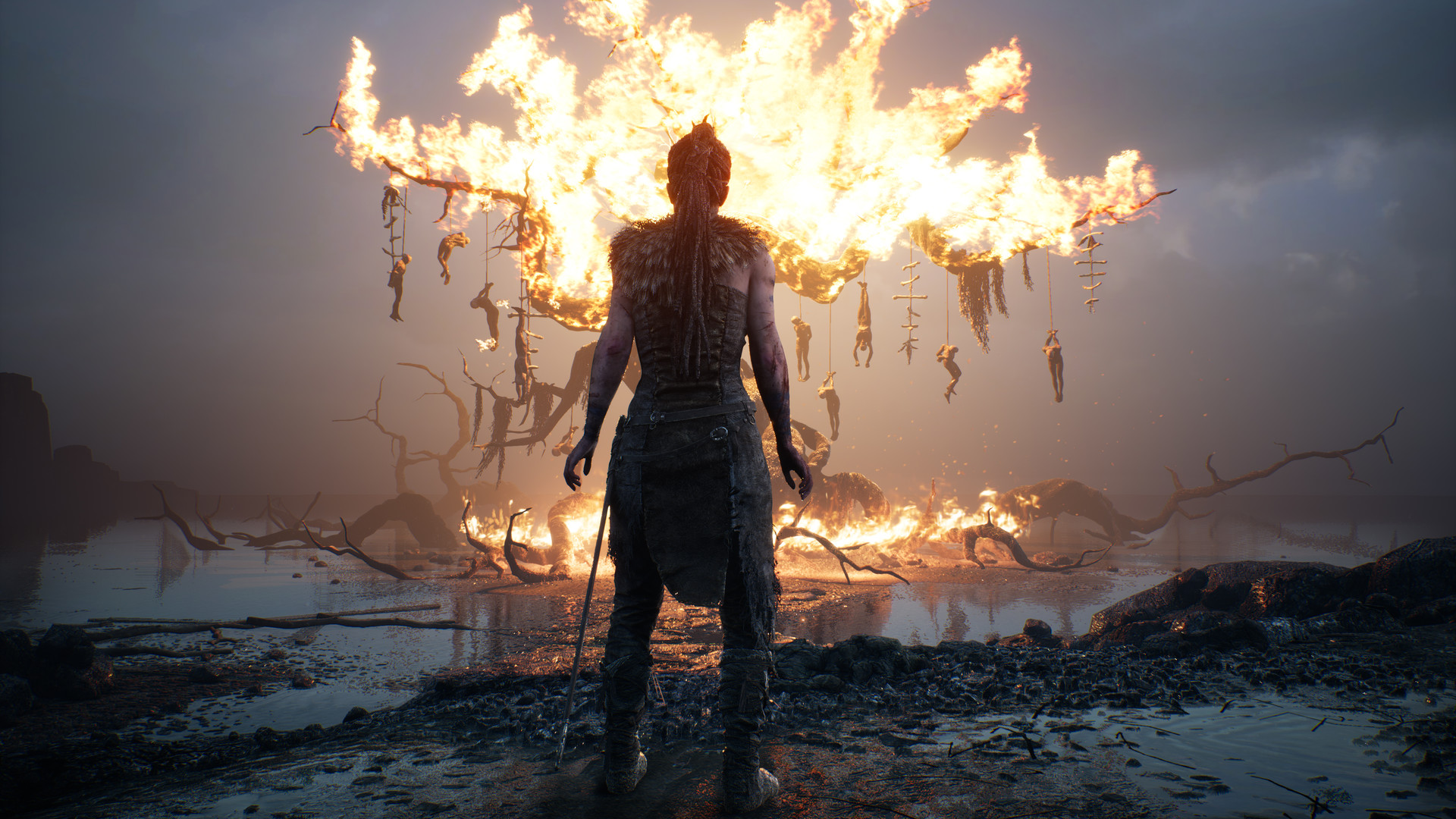 地狱之刃：塞娜的献祭/Hellblade: Senua’s Sacrifice